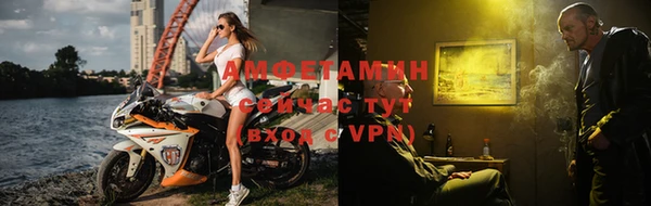 прущие грибы Ладушкин