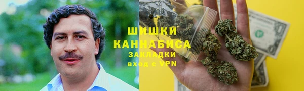 прущие грибы Ладушкин