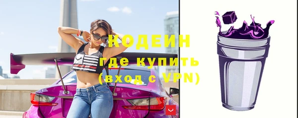 твердый Лагань