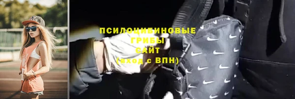 твердый Лагань