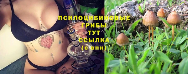 прущие грибы Ладушкин