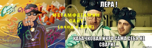 прущие грибы Ладушкин